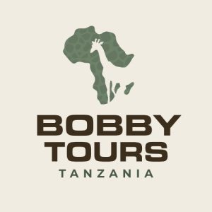 bobby tours kodeuni